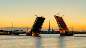 РЫБАЛКА В БЕЛЫЕ НОЧИ, РАЗВОД МОСТОВ , ХОТ-ДОГ С КОРЮШКОЙ⚡⚡⚡ #спиннинг