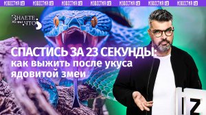 23 секунды на спасение жизни: действия при укусе ядовитой змеи / «Знаете ли вы, что?»