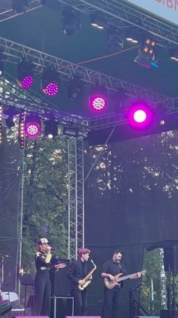 🎸