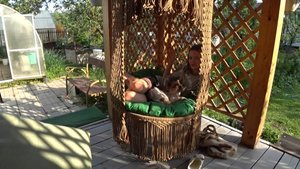 Женечка охотница. И мы когда-то были рысаками.Маня и Мила.