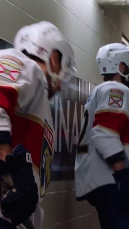The Panthers are Loose!