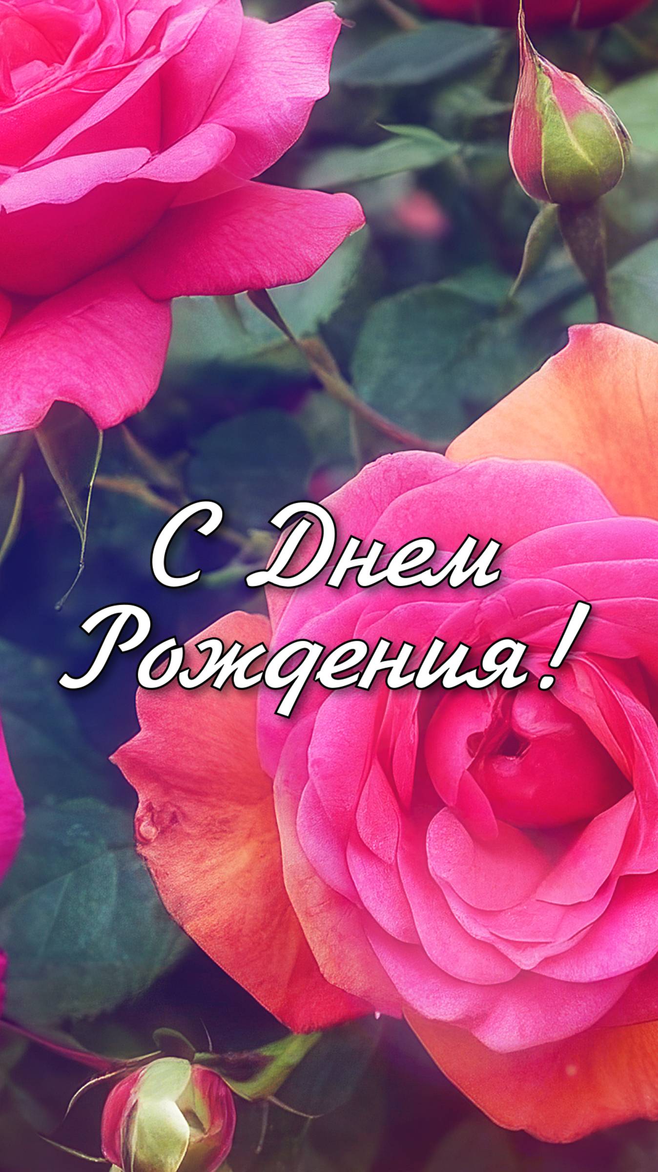 С Днём Рождения!💐Душевное видео-поздравление #видеопоздравление  #поздравление #Shorts #доброеутро
