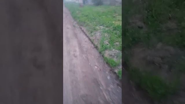 продолжаем идти домой