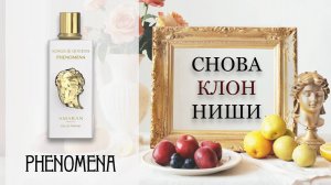 ОБЗОР Phenomena - AMARAN Parfums. Клон ниши.