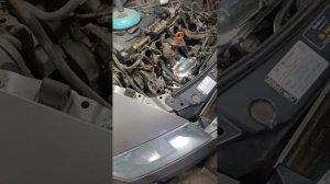 Замена термостата на Шкода Октавия