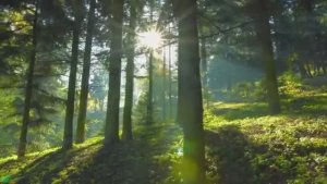 Красивая расслабляющая музыка - Перестаньте слишком много думать, Музыка для снятия стресса, Музыка