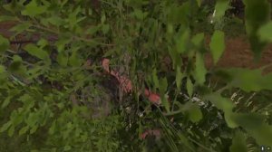 (рп) культивирую поле Farming Simulator 2017