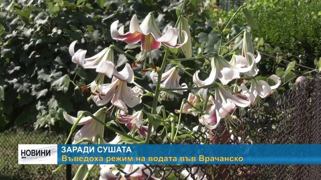 RM TV: Заради сушата: Въведоха режим на водата във Врачан смотреть онлайн