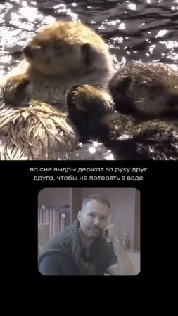 А кого ты держишь за руку во время сна? Или когда ложишься или просыпаешься? Напиши в комментариях.