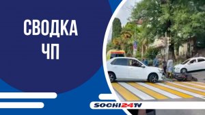 Три медвежонка спокойно гуляли по Солох-Аульской дороге в Дагомысе