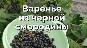 Варенье из черной смородины - простое, вкусное, ароматное!