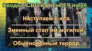 Сводка  СВО на вечер 9 июня. Боевиков ВСУ хитростью уничтожили под Запорожьем
