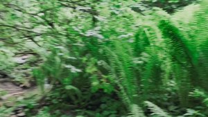 Шадни мото природа Дагестан Дахадаевский район