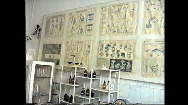 Айболиты