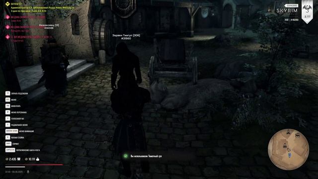 Skyrim Special Edition 2025-06-09 22-34-20