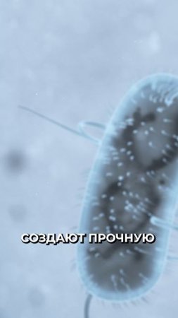😳 На китайской станции найдена «космическая бактерия»