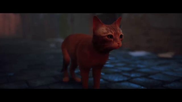 STRAY. Прохождение игры #5