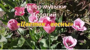 Цветок весны Автор Георгий
