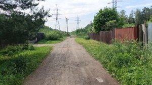 Магнолия