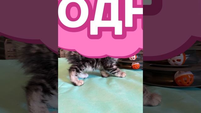 Растём. Нам уже 2 месяца