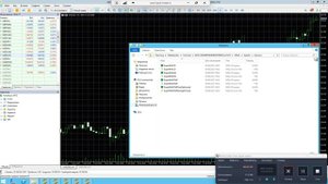 Установка робота WSB Silver RX by puls-invest.ru на терминал MT5