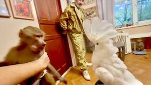 ВПЕРВЫЕ!Люся знакомится с попугаем Кешей, она возненавидела его сразу,Кеша ДЕРЖИСЬ