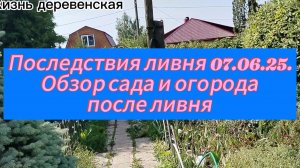 Последствия ливня 07.06.25.Обзор сада и огорода после ливня.