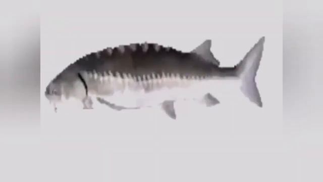 Mortal Kombat feat Cotton Eye Joe - Техасский мортач (mash up) смотреть онлайн