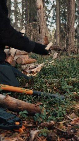 Camping in the Forest - No Shelter (ASMR) #1 #shorts