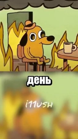 i11ushenka (244)