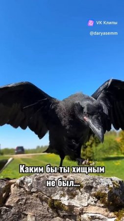 ТОЛЬКО МАМА ЗНАЕТ КАКОЙ ТЫ ВНУТРИ