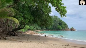 Самый красивый нашид 4 🟢