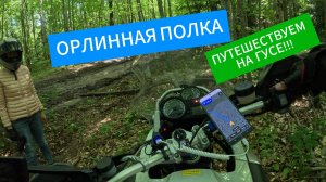 🔥🏍️ОРЛИННАЯ ПОЛКА 🏍️🔥