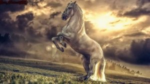 Самый Красивый Нашид ⚘️ 💚💚🌺