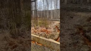 Rust spring