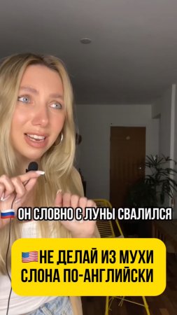 🇺🇸Не делай из мухи слона по-английски!