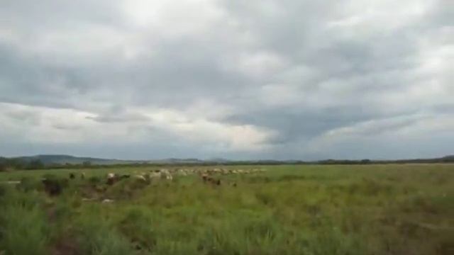 Пенсионерка НЕ ЖДЁТ светлого будущего, НЕ ЖАЛУЕТСЯ на жизнь.