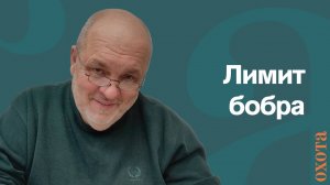 Лимит бобра? Валерий Кузенков о квоте на бобра.