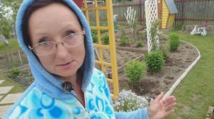 Видео привет с 6 соток 6 июня 2025 года.