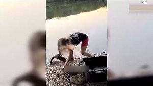 Всячинки