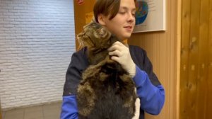 Замерзал, но не сдался! Котик теперь любим и счастлив! | Глэм
