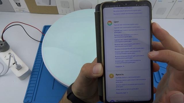 Недорогой Умный потолочный светильник с Алисой wifi с голосовым управлением Alexa Google дом ЧАСТЬ 2