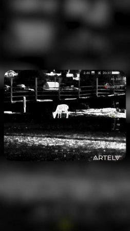 Тепловизионный прицел Artelv Electron питание.