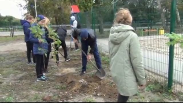 Зеленый сад смотреть онлайн