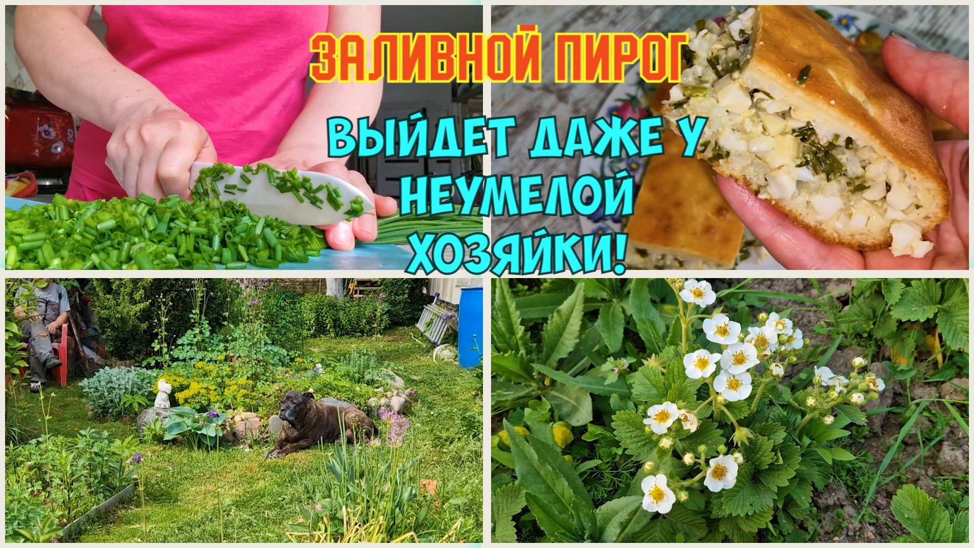Всё нарушаем, нельзя работать. Огород как есть. Пеку самый простой пирог с луком, рисом и яйцами
