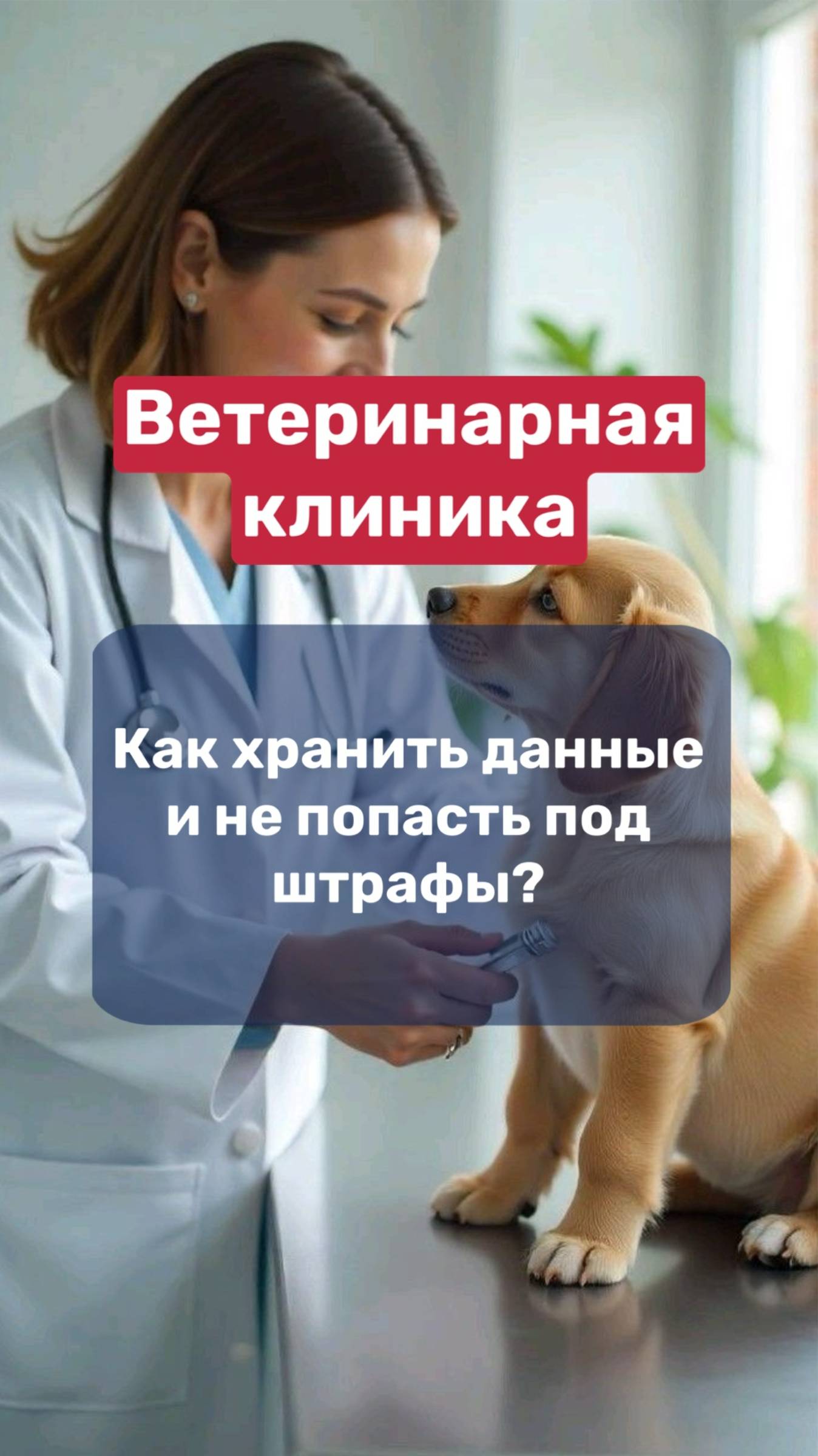 🐶Ветеринарная клиника | как хранить данные клиентов и не попасть под штрафы?