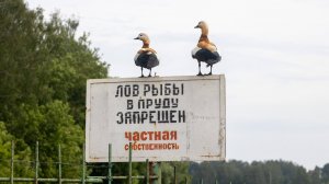 река Клязьма, сплав 08.06.2025