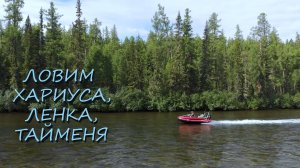 ВВЕРХ ПО БОЛЬШОМУ ЕНИСЕЮ | РЫБАЛКА НА ЛЮБОЙ ВКУС...