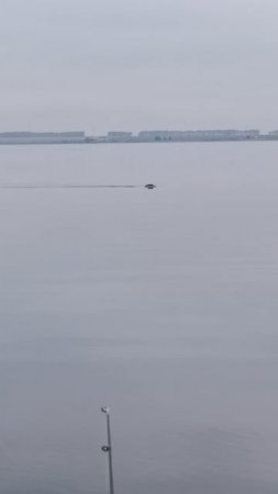 Бобер