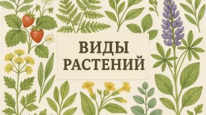 Какие виды растений бывают! Опасные или нет